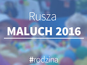 Rusza MALUCH 2016